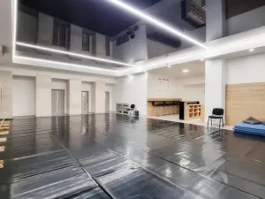 Pronájem komerční nemovitosti, Brno, Sukova, 233 m2