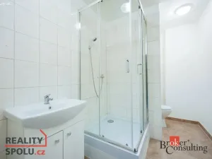 Pronájem bytu 2+kk, Mlékojedy, 50 m2