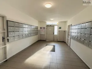 Pronájem bytu 3+1, Most, M. G. Dobnera, 63 m2