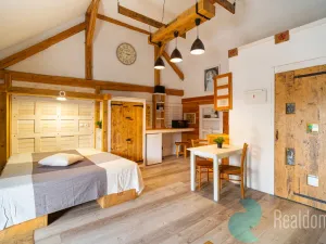 Prodej apartmánu, Malšín - Ostrov, 360 m2