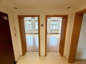 Prodej bytu 2+1, Ústí nad Labem - Ústí nad Labem-centrum, Pasteurova, 61 m2