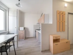 Pronájem bytu 1+1, Brno - Bystrc, 33 m2