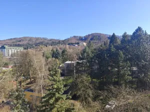 Prodej bytu 3+kk, Karlovy Vary - Drahovice, Východní, 61 m2