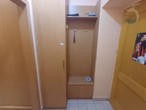 Pronájem bytu 1+kk, Štěnovice, Skalní, 40 m2
