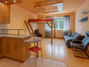 Pronájem bytu 1+kk, Štěnovice, Skalní, 40 m2
