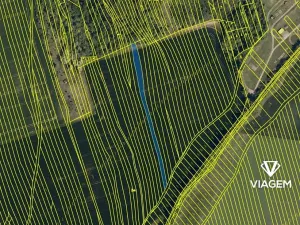 Prodej podílu pole, Bučovice, 619 m2