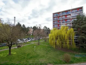 Pronájem bytu 3+1, Brandýs nad Labem-Stará Boleslav, Vrbová, 61 m2