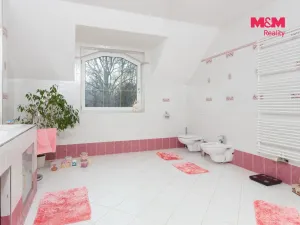 Prodej rodinného domu, Ostrava - Radvanice, Hranečník, 350 m2