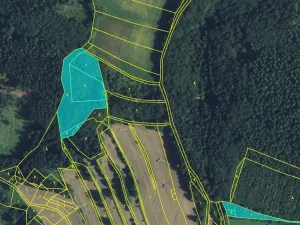 Prodej lesa, Drozdov, 11901 m2