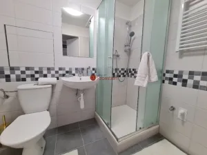 Pronájem bytu 1+1, Teplice - Trnovany, Antonína Sochora, 36 m2