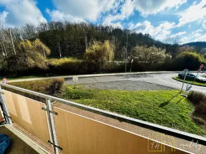 Prodej bytu 1+kk, Ústí nad Labem - Bukov, Baráčnická, 33 m2