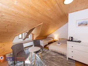 Prodej ubytování, Dolní Morava, 679 m2