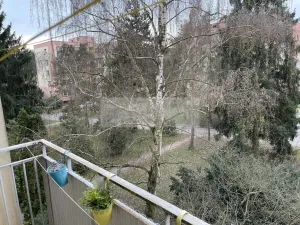 Prodej bytu 3+1, Mladá Boleslav, U stadionu, 86 m2