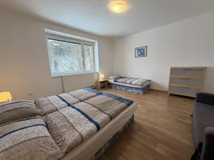 Prodej apartmánu, Staré Město - Stříbrnice, 60 m2
