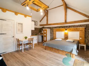 Prodej chalupy, Malšín - Ostrov, 350 m2