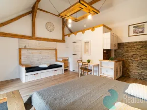 Prodej chalupy, Malšín - Ostrov, 350 m2