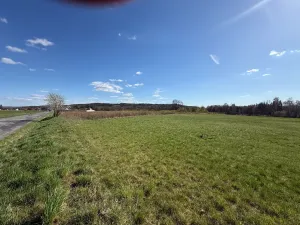 Prodej pole, Dolní Bousov, 11084 m2