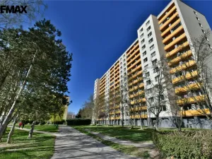 Prodej bytu 3+1, Hradec Králové - Nový Hradec Králové, třída Edvarda Beneše, 80 m2