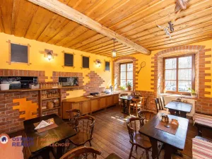 Prodej rodinného domu, Dolní Morava, 679 m2