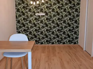 Pronájem bytu 2+kk, Jihlava, Třebízského, 42 m2