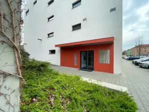 Pronájem bytu 1+kk, Olomouc - Nové Sady, Rokycanova, 35 m2