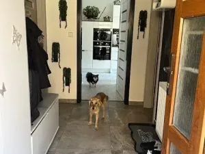 Prodej rodinného domu, Kostelec nad Labem, Labská, 110 m2