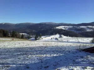 Prodej bytu 3+1, Branná, 83 m2