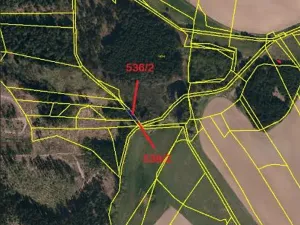 Prodej lesa, Otín, 213 m2