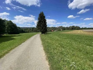 Prodej pozemku, Boňkov, 3466 m2