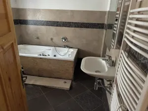 Dražba chaty, Polevsko, 125 m2