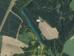 Dražba pozemku, Chlum, 11767 m2