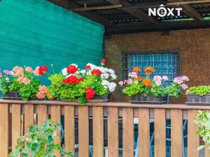 Prodej zahrady, Žatec, 459 m2