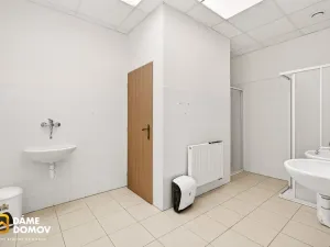 Pronájem skladu, Uherské Hradiště - Vésky, Zámostí, 482 m2