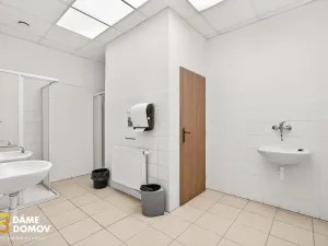 Pronájem skladu, Uherské Hradiště - Vésky, Zámostí, 482 m2