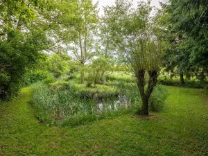 Prodej pozemku pro bydlení, Podbořany, 3476 m2