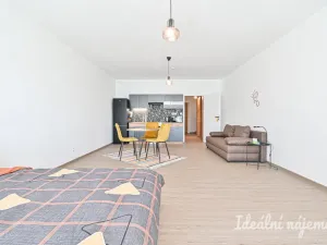 Pronájem bytu 1+kk, Brno, Faměrovo náměstí, 49 m2