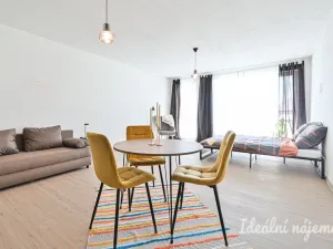 Pronájem bytu 1+kk, Brno, Faměrovo náměstí, 49 m2