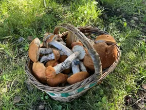 Prodej chaty, Staré Hamry, 120 m2