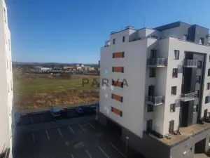 Pronájem bytu 1+kk, Plzeň - Jižní Předměstí, Inženýrská, 47 m2