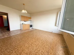 Prodej bytu 1+kk, Plzeň - Severní Předměstí, Hodonínská, 31 m2