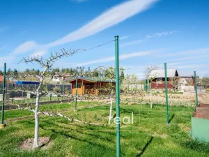 Prodej chaty, Dubňany, 16 m2