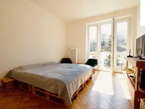 Prodej bytu 2+kk, Praha - Karlín, Sokolovská, 47 m2