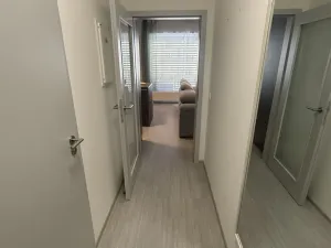 Pronájem bytu 1+kk, Olomouc, Wolkerova, 43 m2