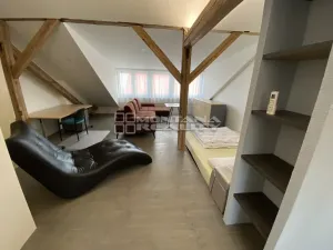 Pronájem bytu 1+kk, Olomouc, Praskova, 54 m2