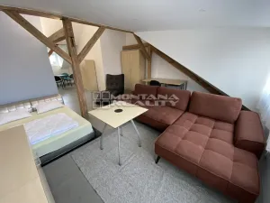 Pronájem bytu 1+kk, Olomouc, Praskova, 54 m2