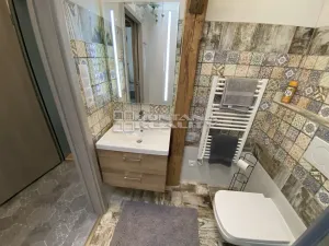 Pronájem bytu 1+kk, Olomouc, Praskova, 54 m2