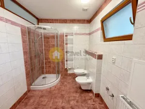 Pronájem bytu 2+kk, České Budějovice - České Budějovice 3, Na Sadech, 72 m2