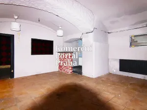 Pronájem restaurace, Praha - Vinohrady, Vocelova, 265 m2