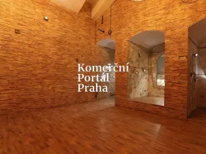 Pronájem restaurace, Praha - Nové Město, Soukenická, 181 m2