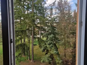 Prodej bytu 3+1, Stříbro, Brožíkova, 56 m2